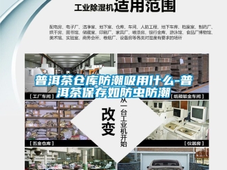 常見問題普洱茶倉庫防潮吸用什么-普洱茶保存如防蟲防潮
