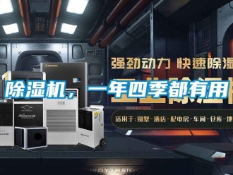 常見問題除濕機，一年四季都有用
