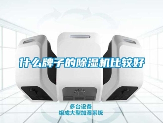 行業(yè)新聞什么牌子的除濕機(jī)比較好