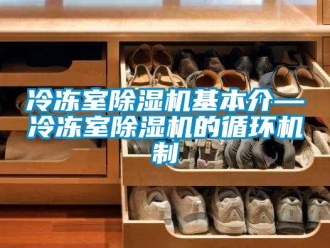 行業(yè)新聞冷凍室除濕機基本介—冷凍室除濕機的循環(huán)機制