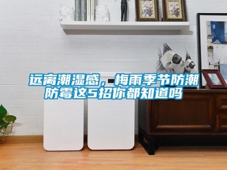 常見問題遠離潮濕感，梅雨季節防潮防霉這5招你都知道嗎