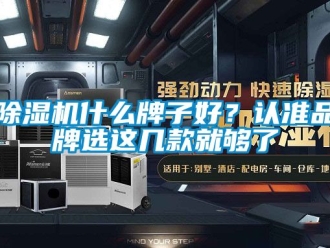 企業新聞除濕機什么牌子好？認準品牌選這幾款就夠了