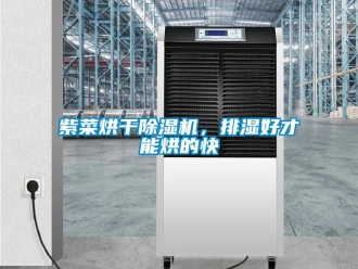 行業(yè)新聞紫菜烘干除濕機(jī)，排濕好才能烘的快