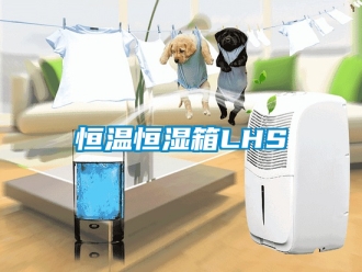 知識百科恒溫恒濕箱LHS