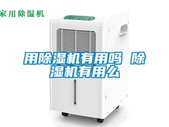 行業(yè)新聞用除濕機有用嗎 除濕機有用么