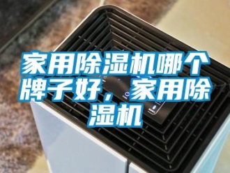 常見問題家用除濕機哪個牌子好，家用除濕機