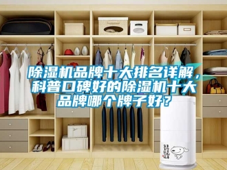 企業新聞除濕機品牌十大排名詳解，科普口碑好的除濕機十大品牌哪個牌子好？