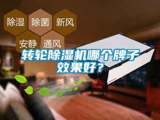 常見問題轉(zhuǎn)輪除濕機(jī)哪個牌子效果好？