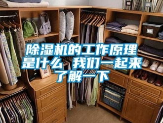 企業新聞除濕機的工作原理是什么 我們一起來了解一下