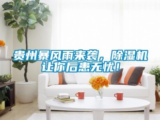 行業(yè)新聞貴州暴風(fēng)雨來襲，除濕機讓你后患無憂！