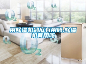 行業(yè)新聞用除濕機到底有用嗎,除濕機有用嗎