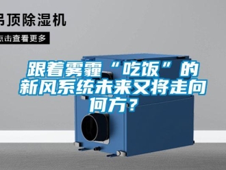 企業(yè)新聞跟著霧霾“吃飯”的新風系統(tǒng)未來又將走向何方？