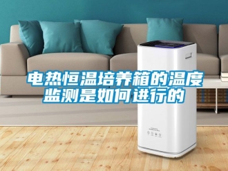 知識百科電熱恒溫培養箱的溫度監測是如何進行的