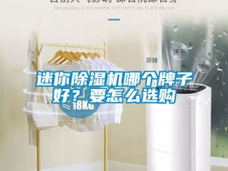行業(yè)新聞迷你除濕機(jī)哪個(gè)牌子好？要怎么選購