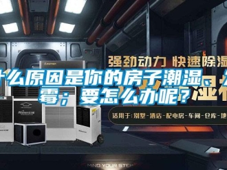 常見問題什么原因是你的房子潮濕、發霉；要怎么辦呢？