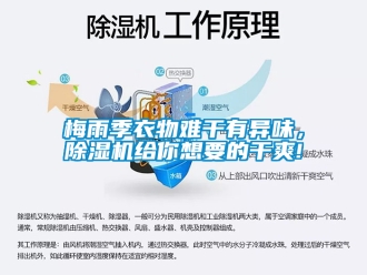 行業(yè)新聞梅雨季衣物難干有異味，除濕機(jī)給你想要的干爽!