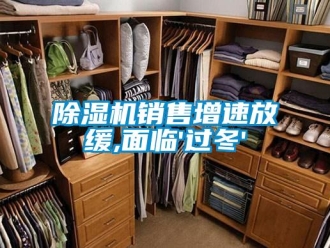 企業(yè)新聞除濕機(jī)銷售增速放緩,面臨'過冬'