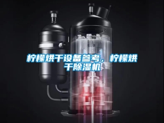 行業新聞檸檬烘干設備參考，檸檬烘干除濕機