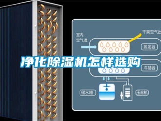 常見問題凈化除濕機怎樣選購