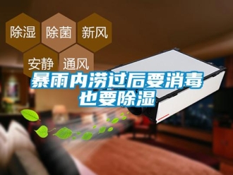 常見問題暴雨內澇過后要消毒也要除濕