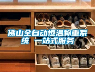 知識百科佛山全自動恒溫稱重系統 一站式服務
