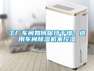 常見問題工廠車間如何保持干燥？選用車間除濕機來控濕