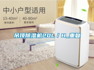 行業(yè)新聞吊頂除濕機(jī)20L／H_重復(fù)