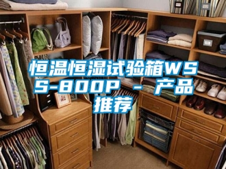 知識百科恒溫恒濕試驗箱WSS-800P - 產品推薦