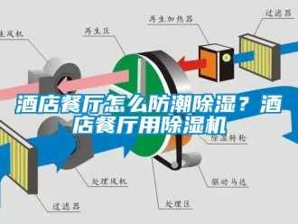 常見問題酒店餐廳怎么防潮除濕？酒店餐廳用除濕機(jī)