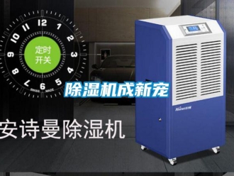 企業新聞除濕機成新寵