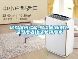 企業新聞溫濕度試驗箱,溫濕度測試儀,溫濕度老化試驗箱廠家