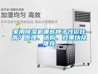 常見問題家用除濕機(jī)哪些牌子性價(jià)比高？原理、選購、效果以及推薦