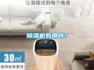常見問題除濕機有用嗎？
