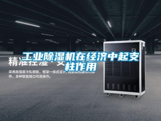 企業新聞工業除濕機在經濟中起支柱作用