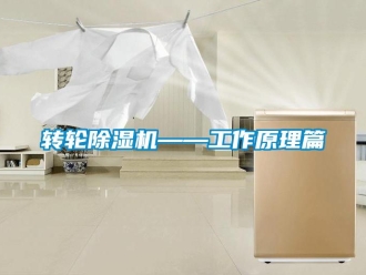 知識百科轉(zhuǎn)輪除濕機(jī)——工作原理篇