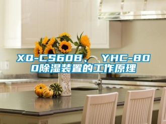 企業新聞XQ-CS60B、 YHC-800除濕裝置的工作原理