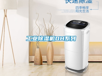 常見問題工業(yè)除濕機(jī)DH系列