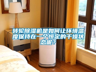 常見問題轉輪除濕機是如何讓環境溫度保持在一個恒定的干燥狀態呢？