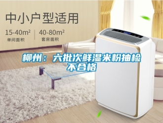企業新聞柳州：六批次鮮濕米粉抽檢不合格