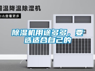 企業新聞除濕機用途多多，要選適合自己的