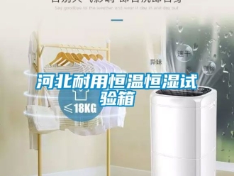 知識(shí)百科河北耐用恒溫恒濕試驗(yàn)箱