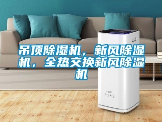 常見問題吊頂除濕機，新風(fēng)除濕機，全熱交換新風(fēng)除濕機