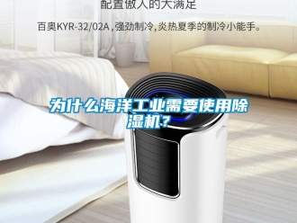 知識百科為什么海洋工業需要使用除濕機？