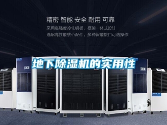 企業新聞地下除濕機的實用性