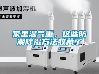 常見問題家里濕氣重，這些防潮除濕方法收藏了