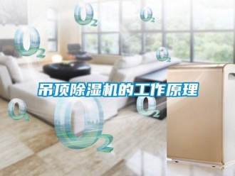 企業新聞吊頂除濕機的工作原理
