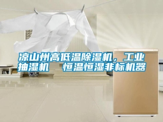 常見問題涼山州高低溫除濕機(jī)，工業(yè)抽濕機(jī)  恒溫恒濕非標(biāo)機(jī)器