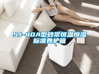 常見問題SJ-40A型砂漿恒溫恒濕標準養護箱