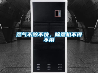 知識百科濕氣不除不快，除濕機不得不用