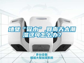 常見問題墻壁“冒水”,回南天太潮濕這可怎么辦？